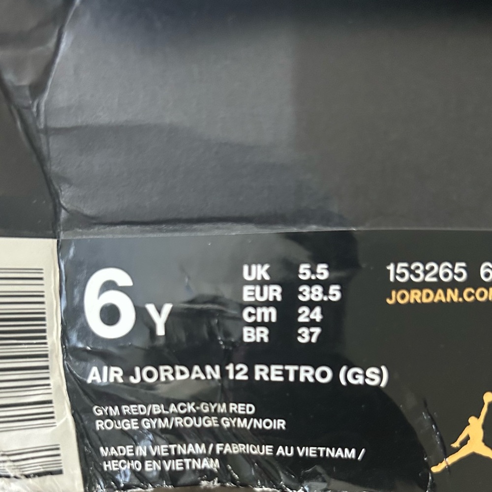 Jordan Retro 12